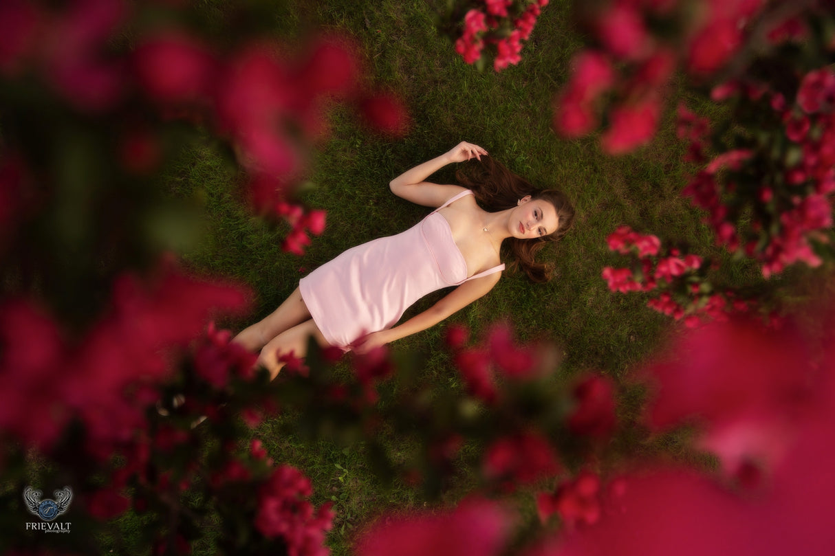Dan Frievalt ProKit for Location Portraits