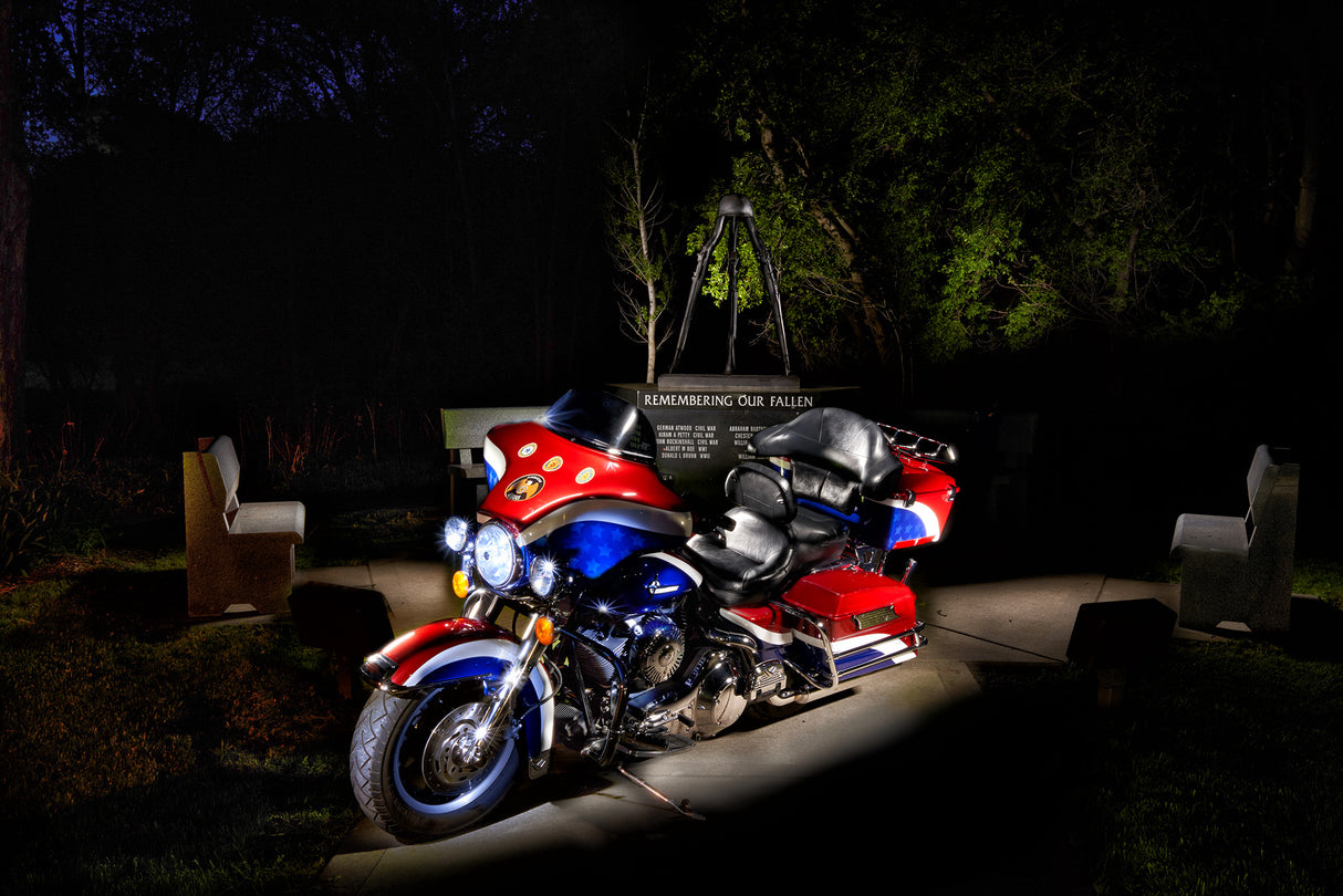 Golden Eagle Dragon Light Bicolor LED Wand