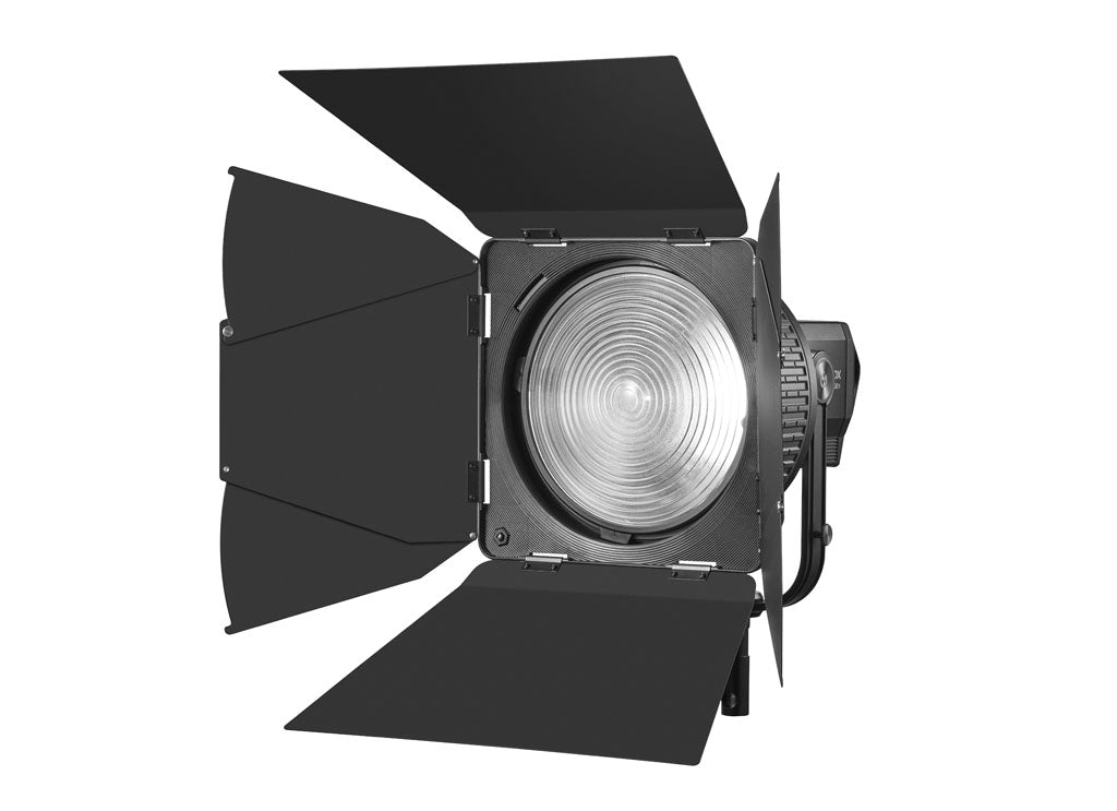 Godox FLS10 Fresnel Barn Doors LB-02