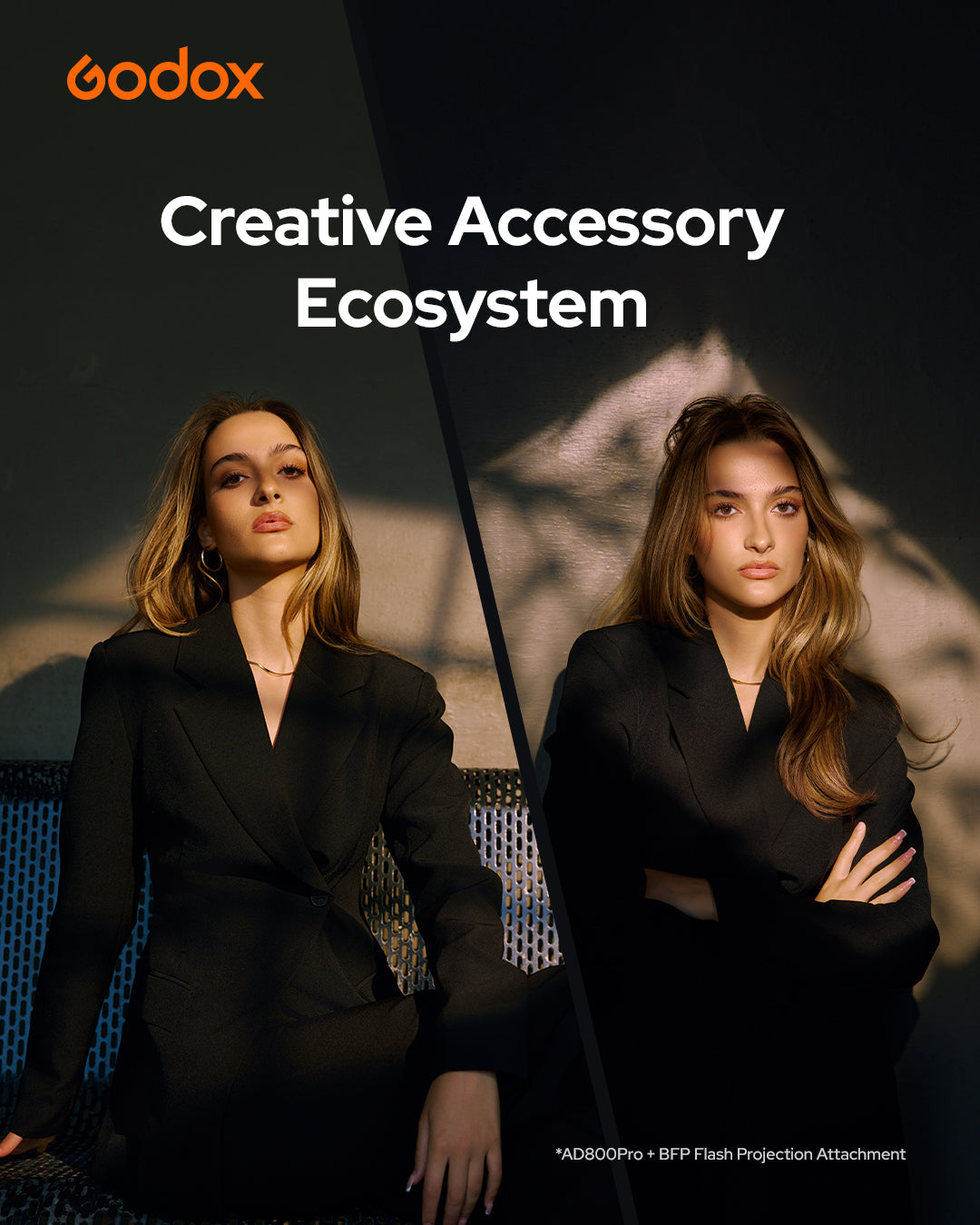 Godox AD800PRO 800ws Flash