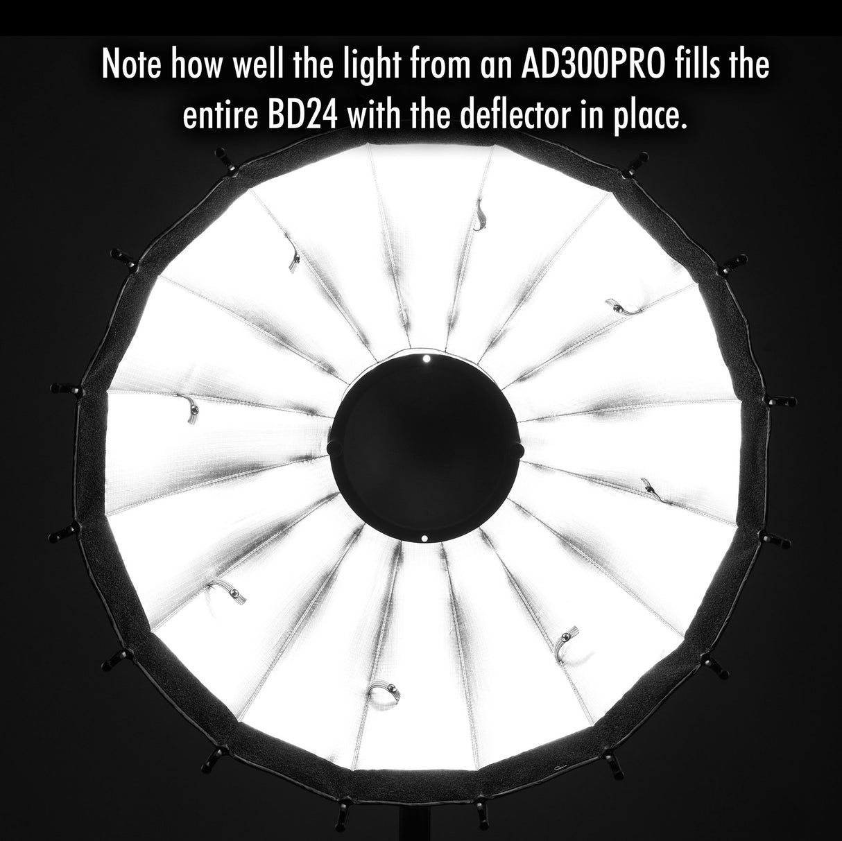 EXO BD24 Portable 24-inch Beauty Dish